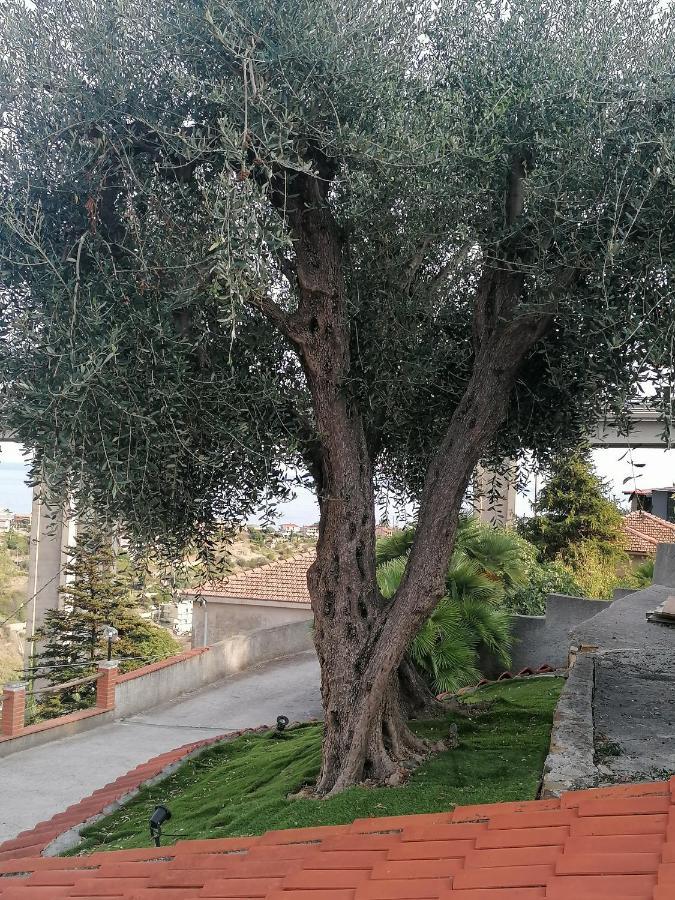La Casa Di Trilly Otel Sanremo Dış mekan fotoğraf